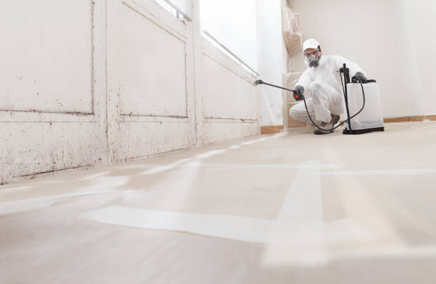 24/7 Emergency Crawl Space Mold Removal experts in Georgetown, CO